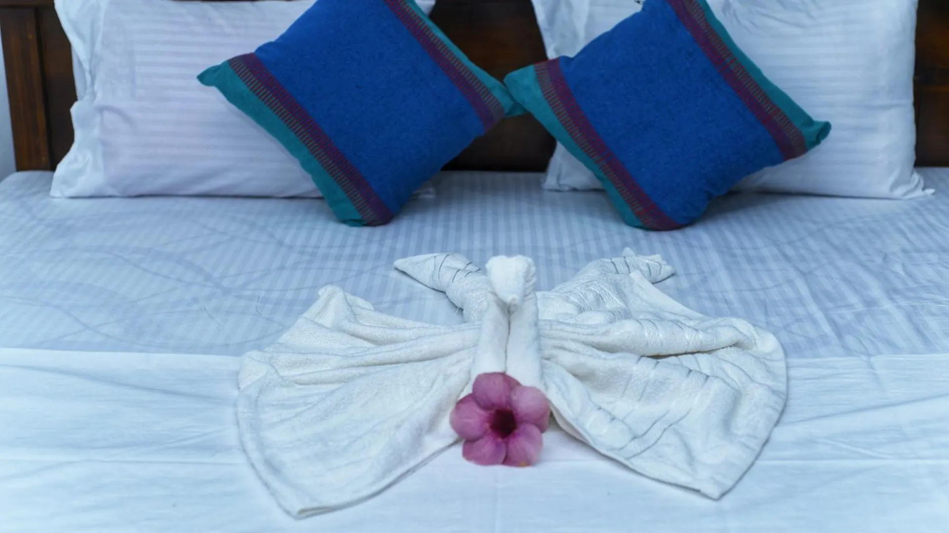Sigiri Green Shadow Homestay Sigiriya